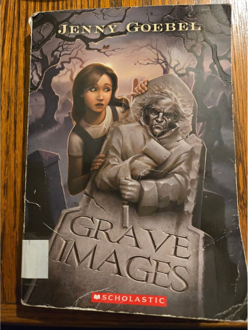 Grave Images by Jenny Goebel - Children's Fiction Book